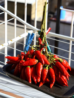 PEPERONCINO fotografie di Giulio Azzarello ©2014. PEPERONCINO fotografie di Giulio Azzarello ©2014.