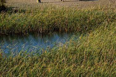 PAESAGGIO SICILIANO nel luogo delle macalube in Sicilia. Fotografie di Giulio Azzarello &copy;2014.