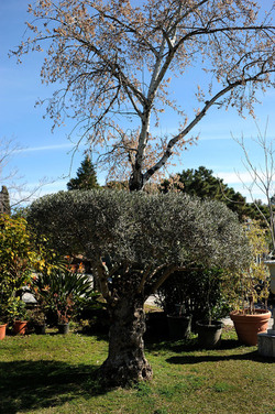 PAESAGGIO CATANESE panoramiche e particolari. Fotografie di Giulio Azzarello &copy;2014.