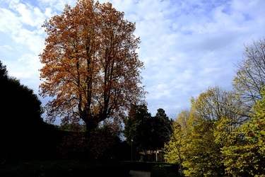 FIRENZE PALAZZO PITTI e GIARDINO DI BOBOLI. Fotografie di Giulio Azzarello &copy;2022.