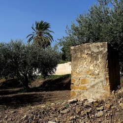 SELINUNTE. Fotografie di Giulio Azzarello ©2022. SELINUNTE. Fotografie di Giulio Azzarello ©2022.