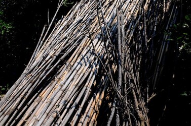 IL CANNETO del contadino siciliano. Fotografie di Giulio Azzarello &copy;2014.