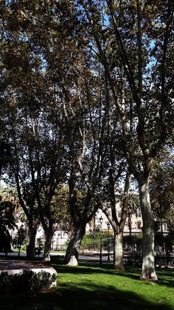 ROMA fotografie di Giulio Azzarello &copy;2022.