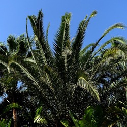 SELINUNTE. Fotografie di Giulio Azzarello ©2022. SELINUNTE. Fotografie di Giulio Azzarello ©2022.