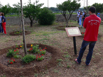 GIARDINO DELLA MEMORIA in Sicilia. Fotografie di Giulio Azzarello &copy;2014.