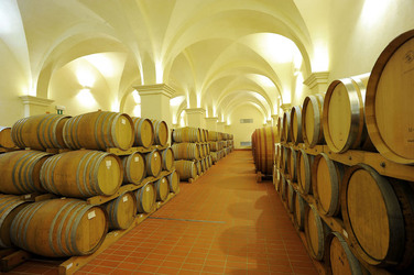 BOTTI per il vino. Fotografie di Giulio Azzarello ©2016. BOTTI per il vino. Fotografie di Giulio Azzarello ©2016.