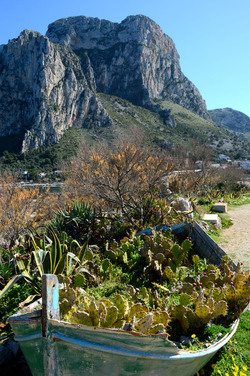 CAPO GALLO riserva marina e naturalistica a Palermo panoramiche e particolari. Fotografie di Giulio Azzarello ©2014. CAPO GALLO riserva marina e naturalistica a Palermo panoramiche e particolari. Fotografie di Giulio Azzarello ©2014.