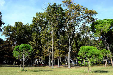 GIARDINI della BIENNALE a Venezia. Foto di Giulio Azzarello &copy;2015 2016.