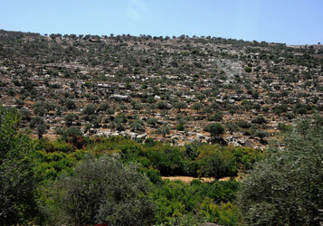 PALESTINA i territori palestinesi panoramiche e particolari. Foto di Giulio Azzarello ©2014. PALESTINA i territori palestinesi panoramiche e particolari. Foto di Giulio Azzarello ©2014.