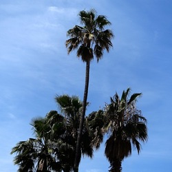 PALERMO. Fotografie di Giulio Azzarello &copy;2023.