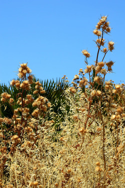 SEGESTA in Sicilia sito archeologico. Fotografie di Giulio Azzarello ©2014.