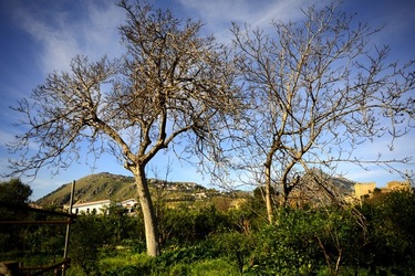 CAMPAGNA fotografie di Giulio Azzarello ©2020.
