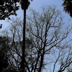 ORTO BOTANICO. Fotografie di Giulio Azzarello &copy;2024.