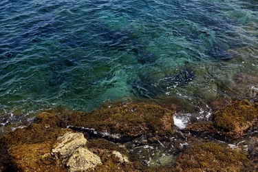 ARENELLA Fotografia di Giulio Azzarello ©2022.