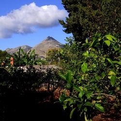 AUTUNNO fotografie di Giulio Azzarello ©2021. AUTUNNO fotografie di Giulio Azzarello ©2021.