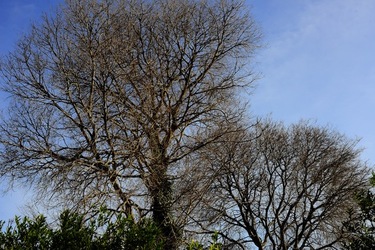 CAMPAGNA fotografie di Giulio Azzarello ©2020.