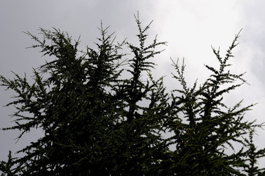 IL PARCO DELLE MADONIE da Polizzi Generosa in Sicilia. Fotografie di Giulio Azzarello &copy;2014.
