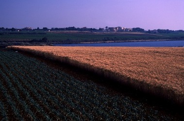 DIGITALIZZAZIONI fotografie di Giulio Azzarello &copy;2020.
