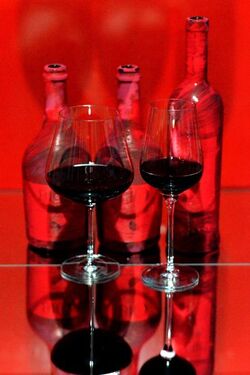 STILL LIFE fotografie di Giulio Azzarello &copy;2020.