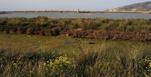 LE SALINE di Trapani in Sicilia. Fotografie di Giulio Azzarello ©2014. LE SALINE di Trapani in Sicilia. Fotografie di Giulio Azzarello ©2014.