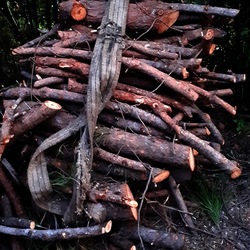 INVERNO. Fotografie di Giulio Azzarello &copy;2023.