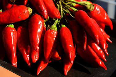 PEPERONCINO fotografie di Giulio Azzarello ©2014. PEPERONCINO fotografie di Giulio Azzarello ©2014.