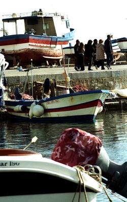 MARE Mondello e Palermo febbraio 2022. Fotografie di Giulio Azzarello &copy;2022.