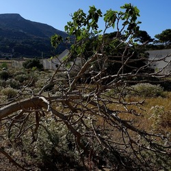 BESTIE. Fotografie di Giulio Azzarello ©2022. BESTIE. Fotografie di Giulio Azzarello ©2022.