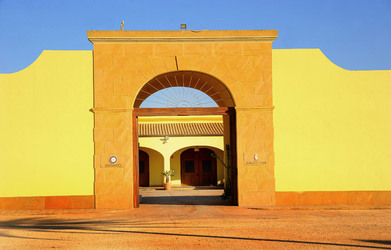TENUTA vitivinicola in Sicilia. Fotografie di Giulio Azzarello ©2016. TENUTA vitivinicola in Sicilia. Fotografie di Giulio Azzarello ©2016.