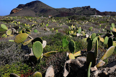 ISOLA DI LINOSA panoramiche e particolari. Fotografie di Giulio Azzarello &copy;2014.
