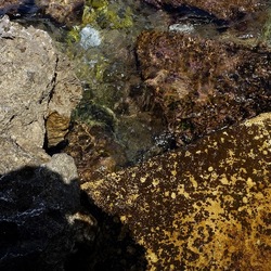 BAIA DEL CORALLO. Fotografie di Giulio Azzarello &copy;2022.