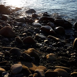 CAMPEGGIO fotografie di Giulio Azzarello ©2019. CAMPEGGIO fotografie di Giulio Azzarello ©2019.