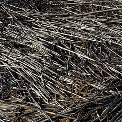 SELINUNTE. Fotografie di Giulio Azzarello ©2022. SELINUNTE. Fotografie di Giulio Azzarello ©2022.