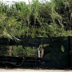 ZISA. Fotografie di Giulio Azzarello &copy;2023.