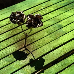 METALLICO. Fotografia di Giulio Azzarello &copy;2023.