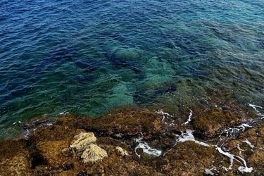 ARENELLA Fotografia di Giulio Azzarello ©2022.