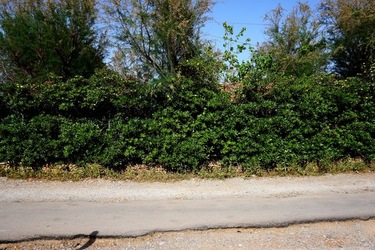 MONDELLO. Fotografie di Giulio Azzarello &copy;2023.