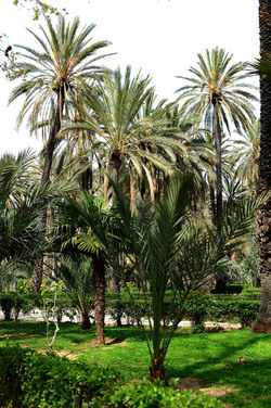 VILLA BONANNO a Palermo. Fotografie di Giulio Azzarello &copy;2016.
