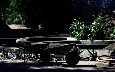 ORTO BOTANICO di Palermo. Fotografie di Giulio Azzarello ©2021.