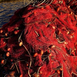 RETI DA PESCA. Fotografie di Giulio Azzarello &copy;2022.