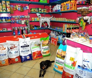 NEGOZIO di ANIMALI. Fotografie di Giulio Azzarello ©2018. NEGOZIO di ANIMALI. Fotografie di Giulio Azzarello ©2018.