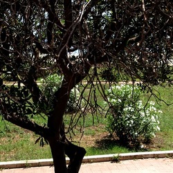 SAN VITO LO CAPO. Fotografie di Giulio Azzarello &copy;2023.