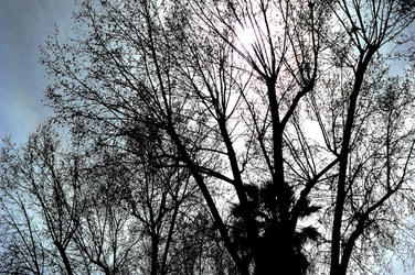 VILLA BONANNO a Palermo. Fotografie di Giulio Azzarello &copy;2016.