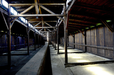 AUSCHWITZ BIRKENAU il percorso della memoria e i documenti. Fotografie di Giulio Azzarello &copy;2016.