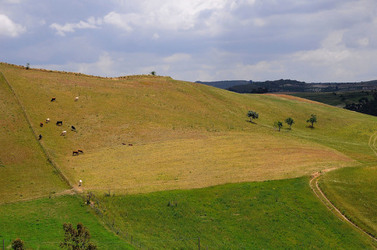 PAESAGGIO SICILIANO in provincia di Enna. Fotografie di Giulio Azzarello &copy;2014.