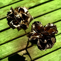 METALLICO. Fotografia di Giulio Azzarello &copy;2023.