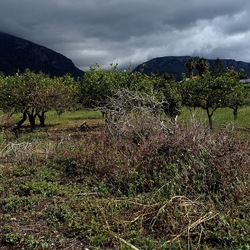 CAMMINANDO. Fotografie di Giulio Azzarello &copy;2024.