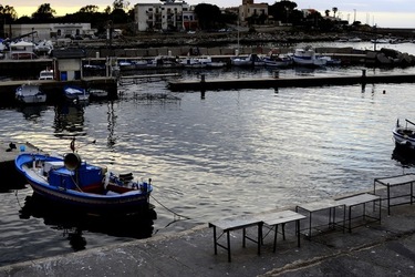 MERCATO del PESCE fotografie di Giulio Azzarello &copy;2019.