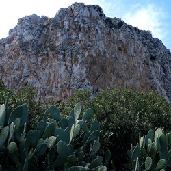RISERVA NATURALE. Fotografie di Giulio Azzarello &copy;2022.