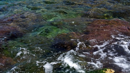 BAIA DEL CORALLO. Fotografie di Giulio Azzarello &copy;2022.